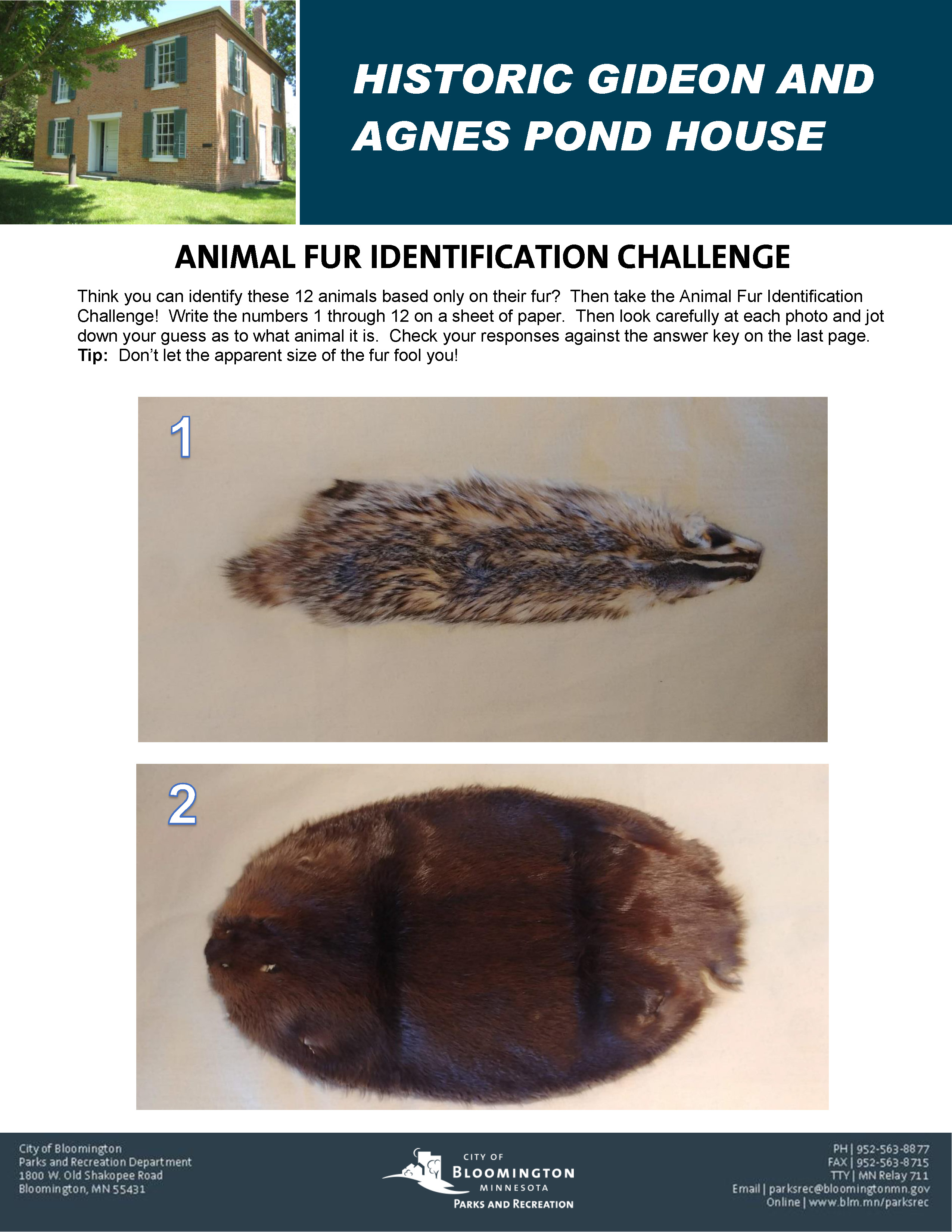 Animal Fur ID Challenge Graphic