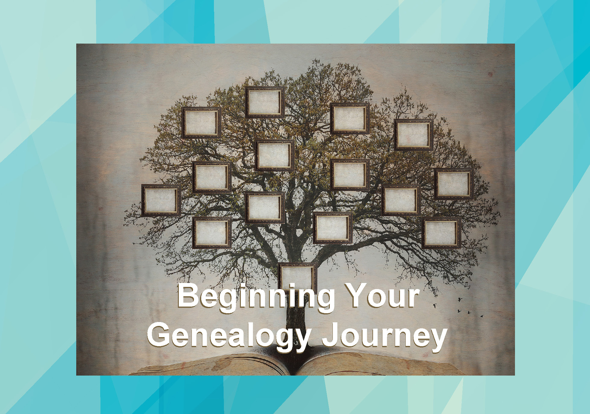 Genealogy Journey graphic August 2024