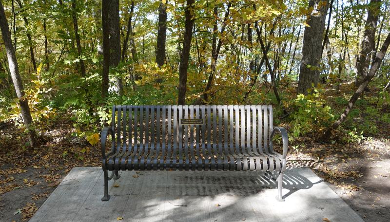 West Bush Lake Memorial Bench