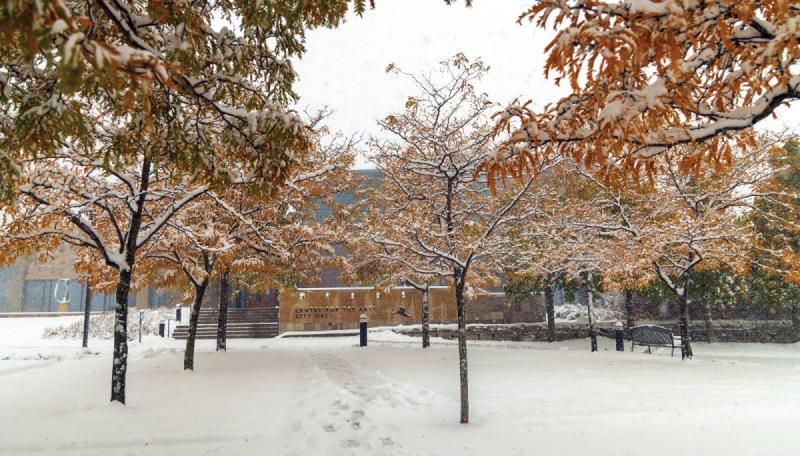 Bloomington Civic Plaza's east entrance in winter. 