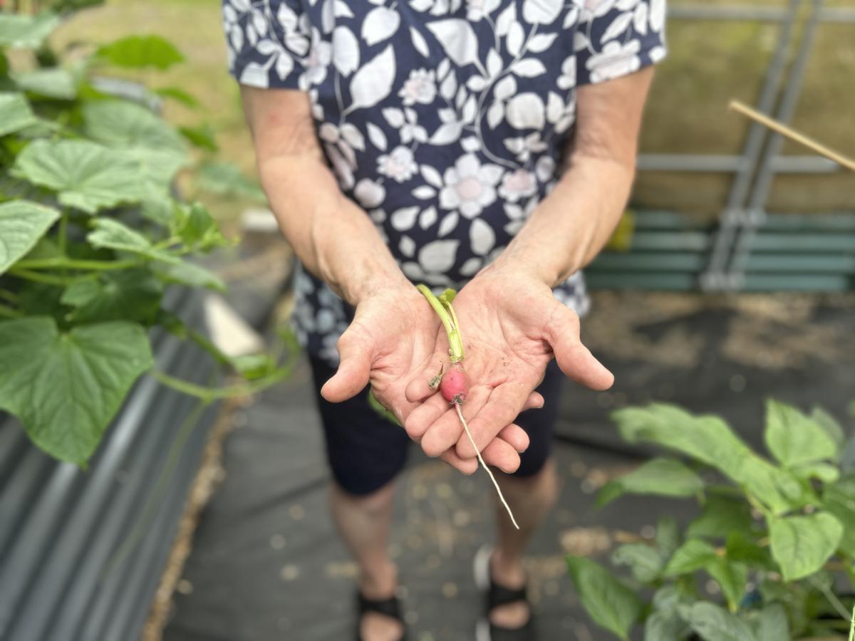 Heart hands with baby radish