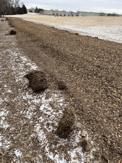 Frozen Mulch Chunks Dog Park February 2025